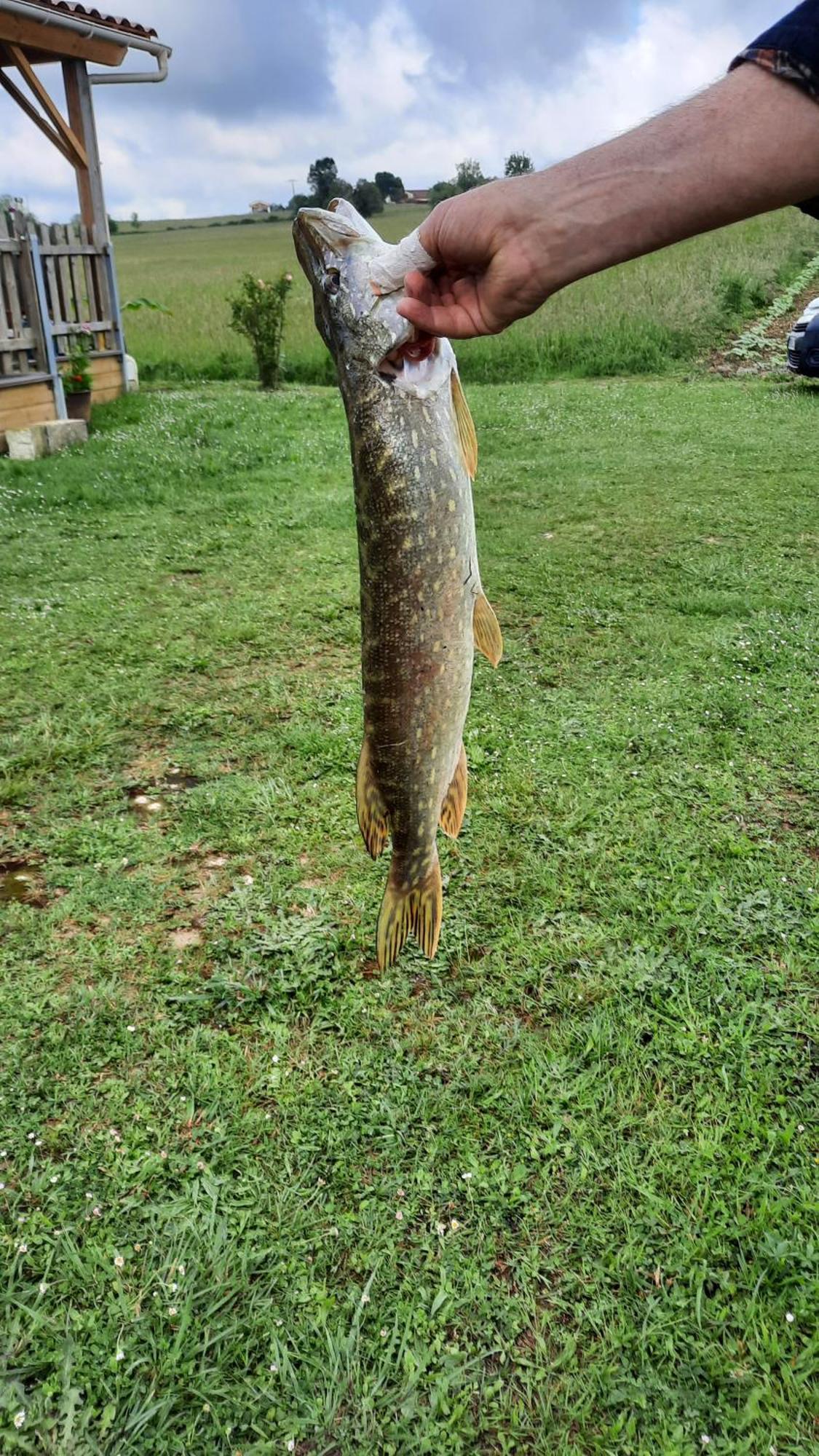 Etang Pre De La Font Hotel Cercles Bagian luar foto